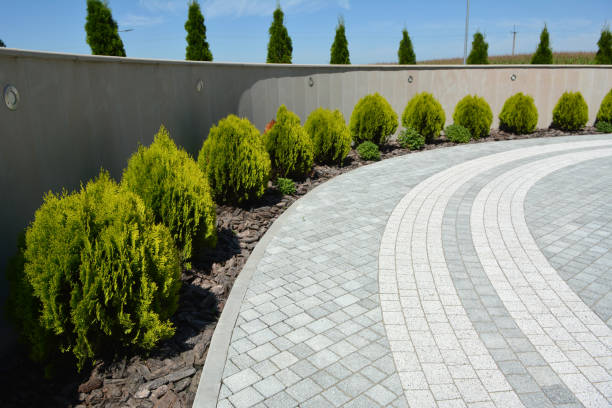 Best Driveway Repair Near Me  in North Shore, CA